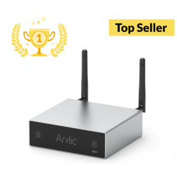 Arylic A50+ 
